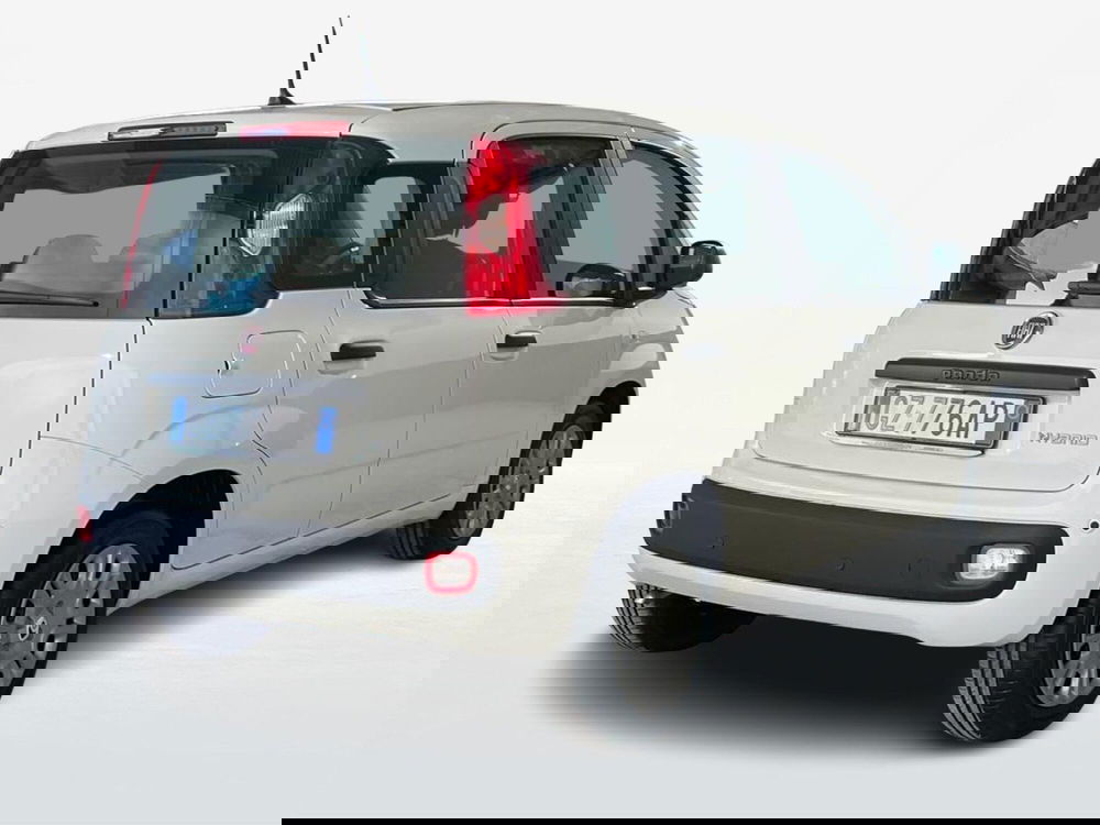 Fiat Pandina nuova a Roma (2)