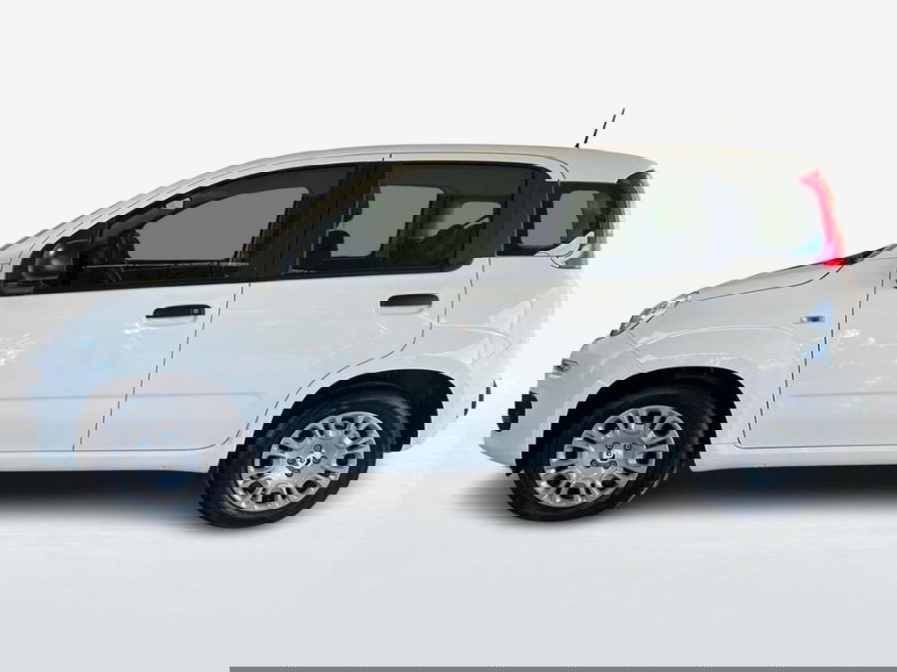 Fiat Pandina nuova a Roma (3)