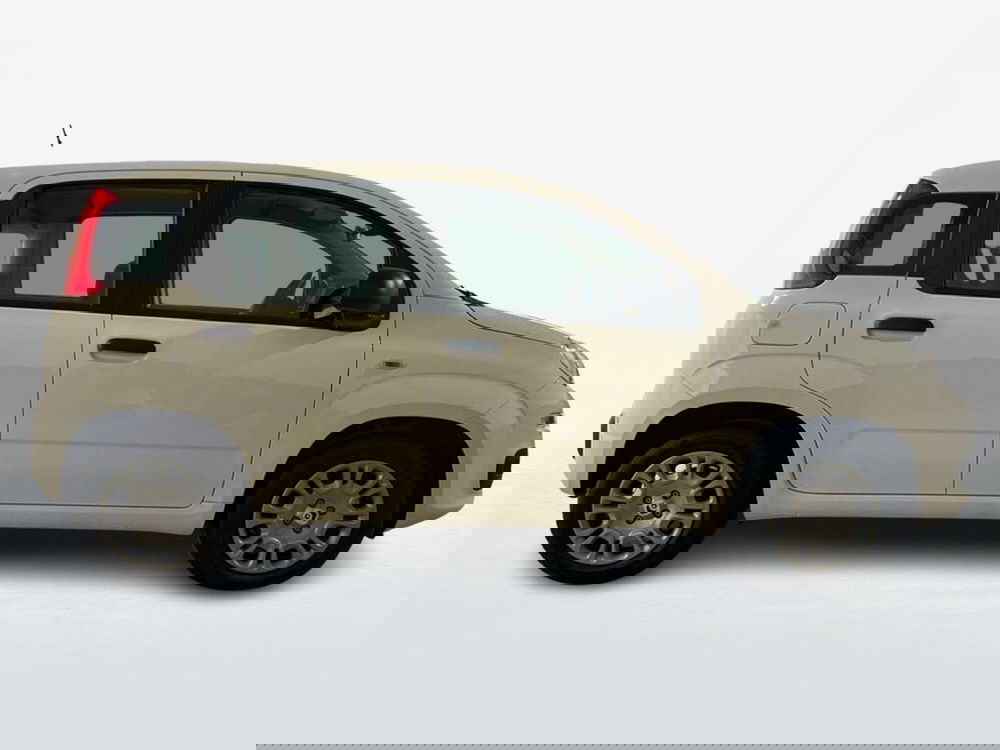 Fiat Pandina nuova a Roma (4)