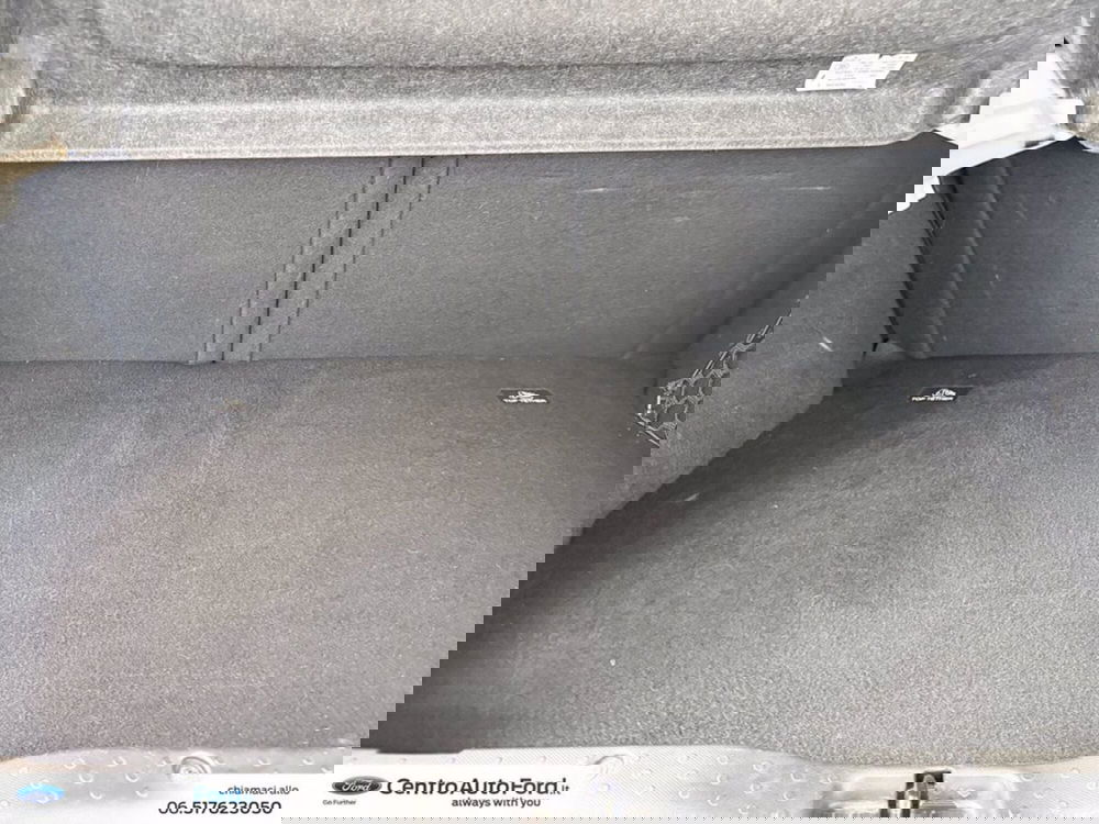 smart forfour usata a Roma (10)