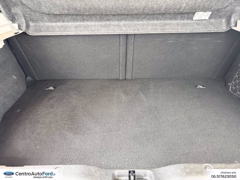 smart forfour usata a Roma (10)