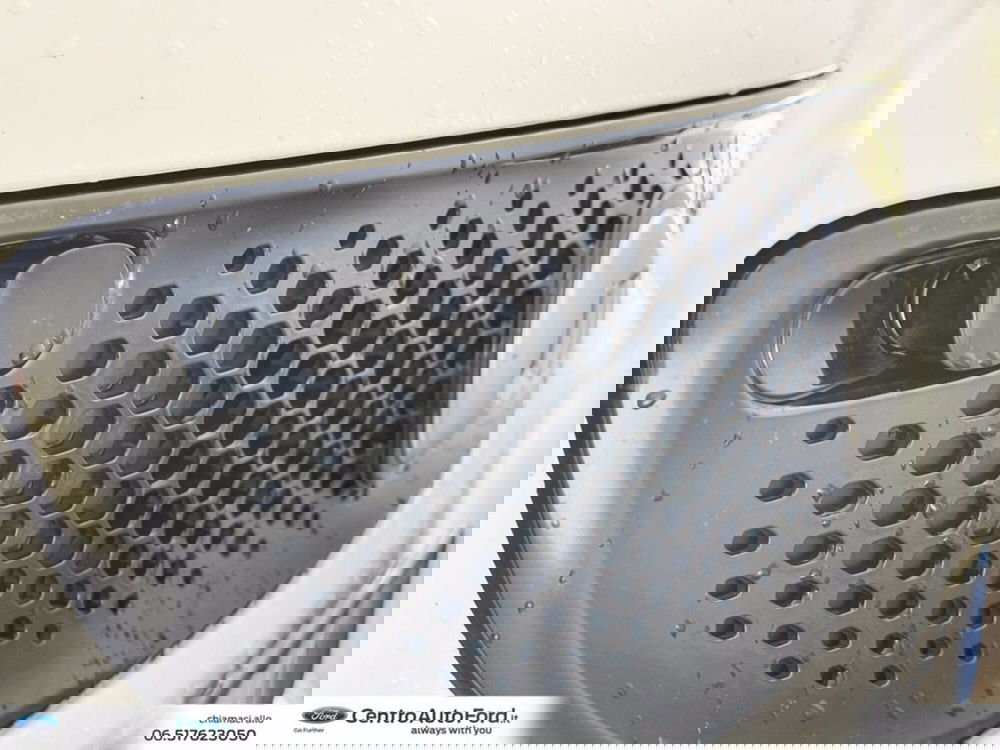 smart forfour usata a Roma (11)