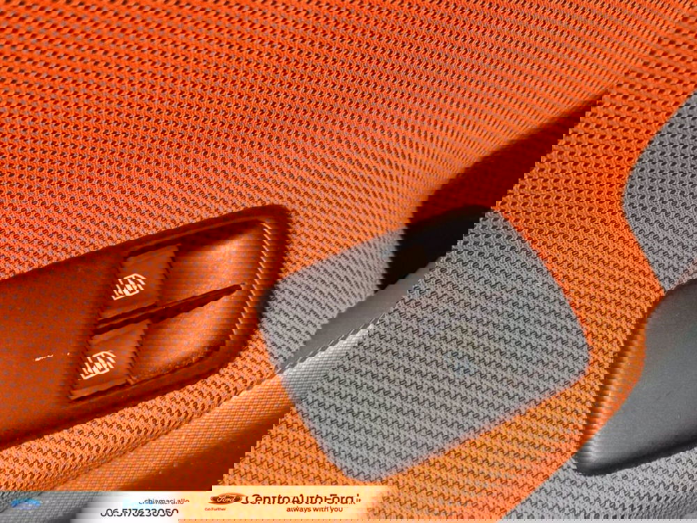 smart forfour usata a Roma (17)