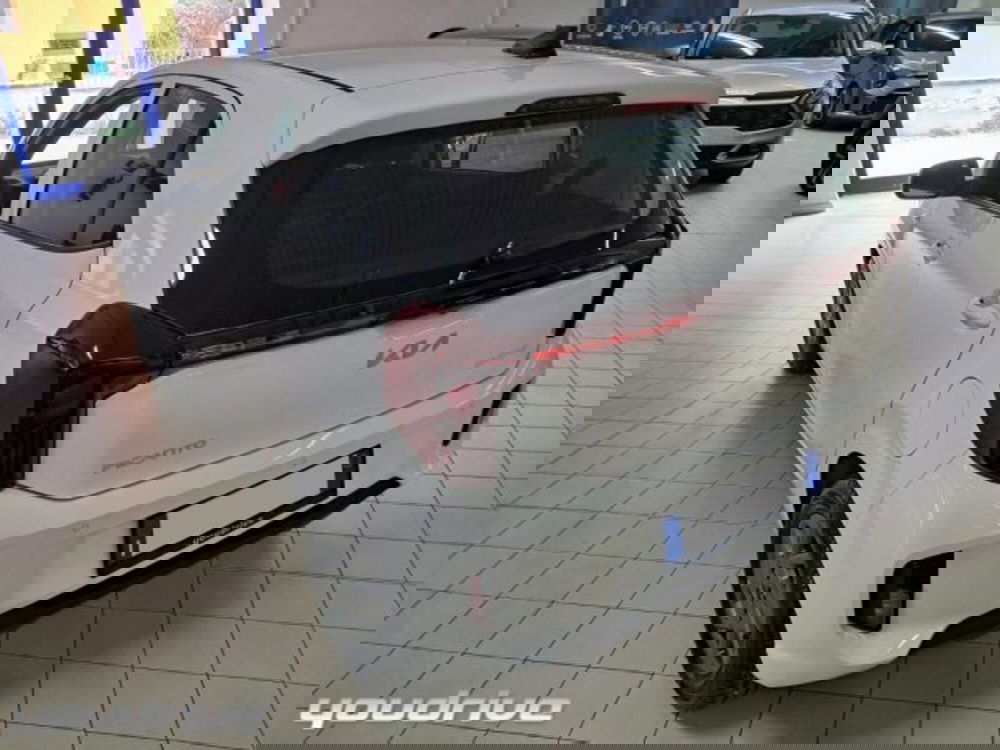 Kia Picanto nuova a Napoli (4)