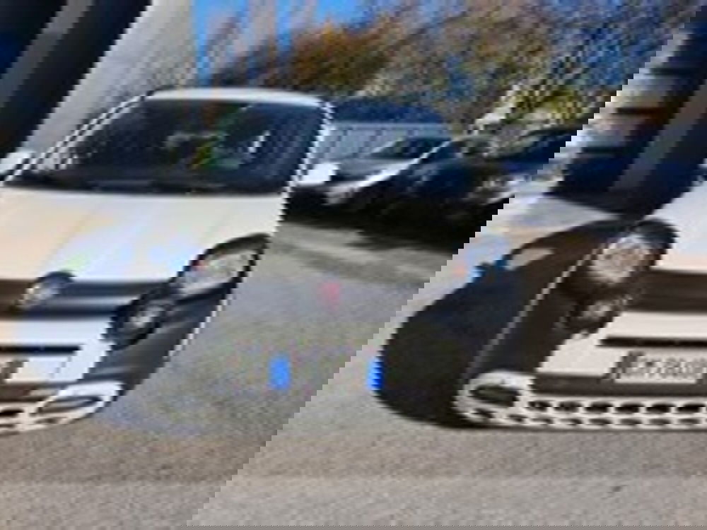 Fiat Panda Cross usata a Udine (2)
