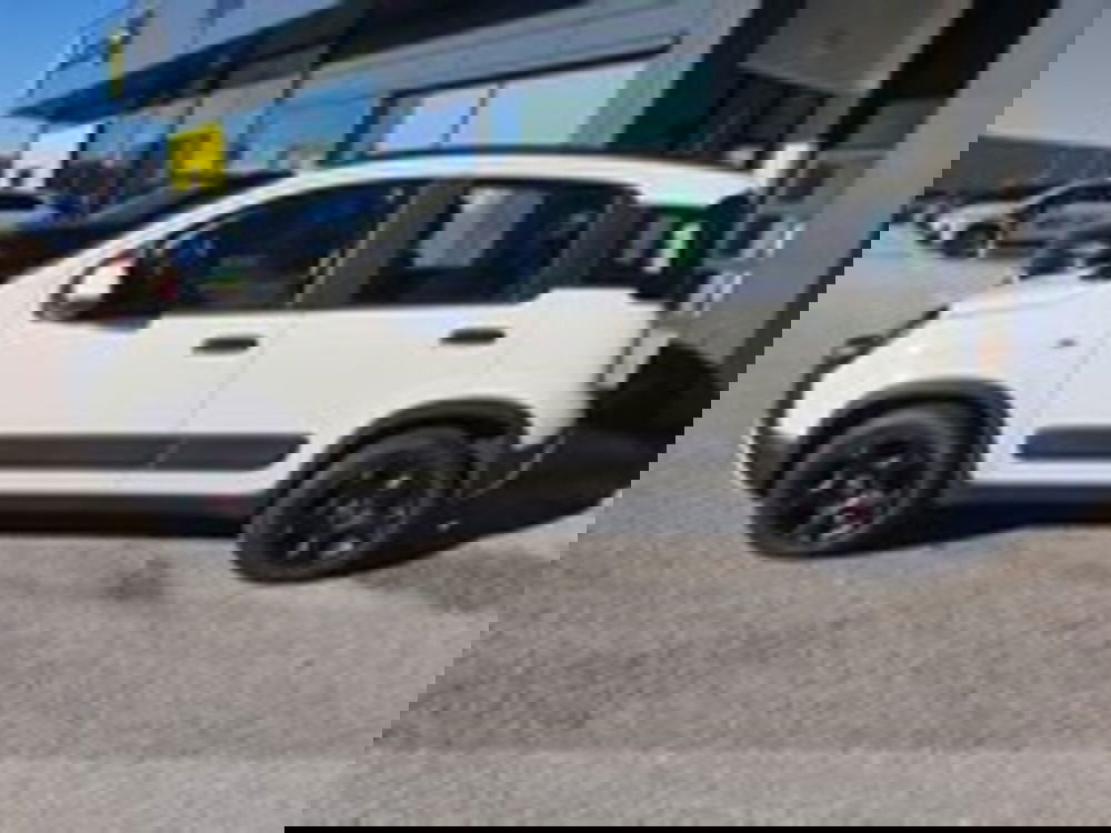 Fiat Panda Cross usata a Udine (8)