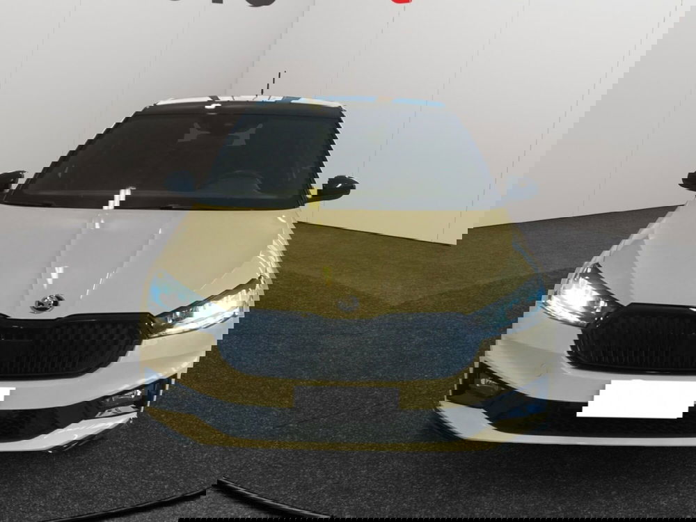 Skoda Fabia usata a Alessandria (2)