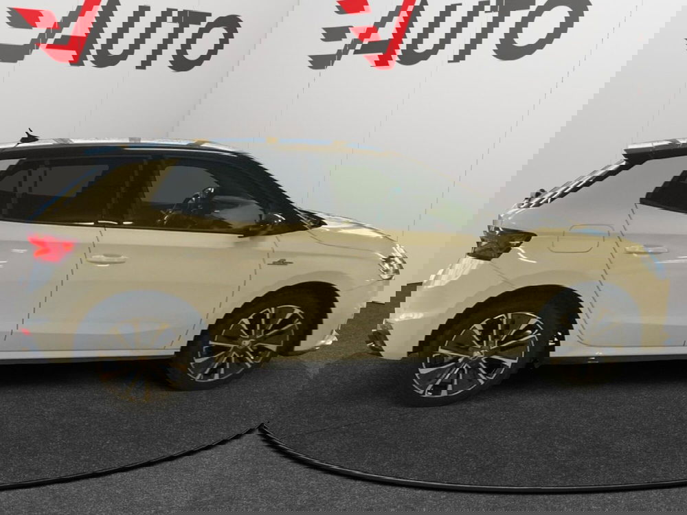 Skoda Fabia usata a Alessandria (3)