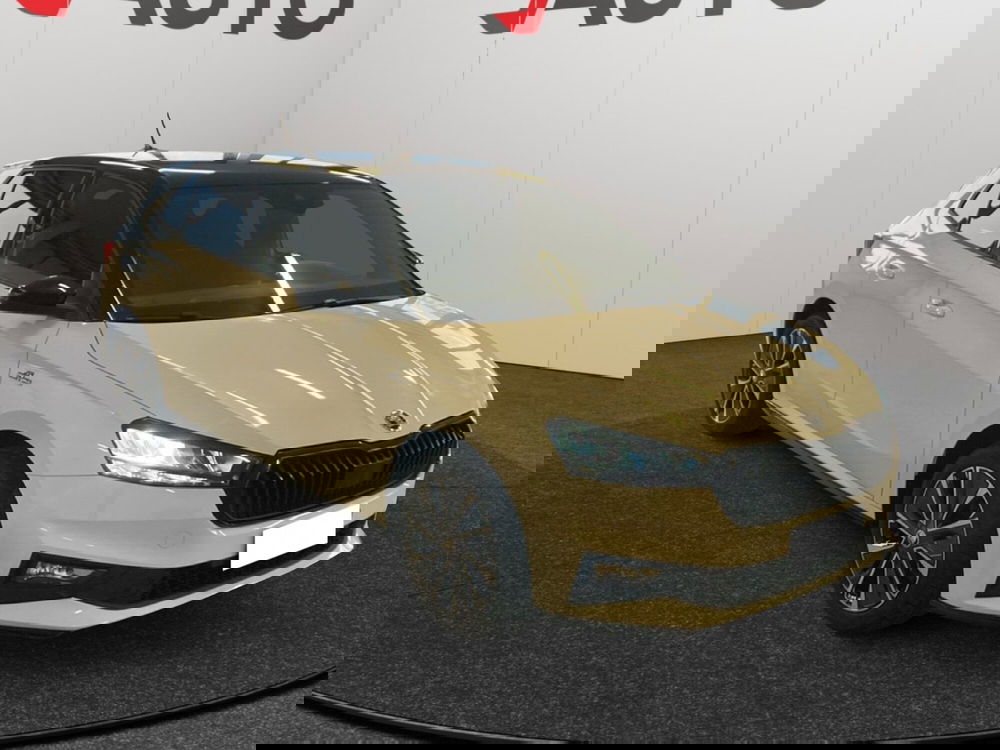 Skoda Fabia usata a Alessandria (8)