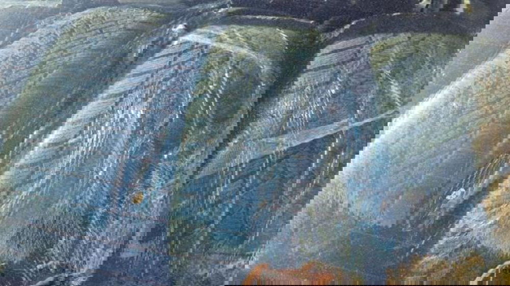 Audi A4 Avant usata a Savona (19)