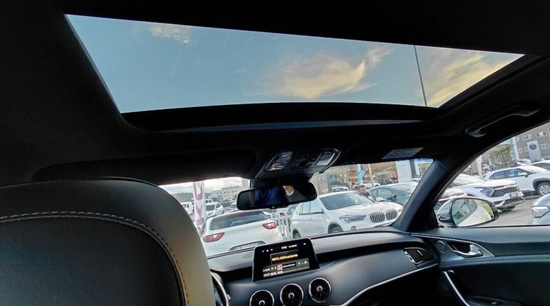 Kia Stinger usata a Cosenza (15)