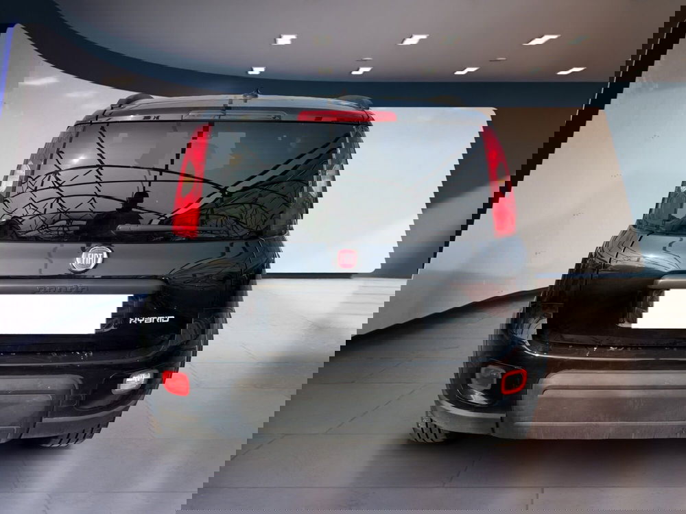 Fiat Panda Cross usata a Torino (5)