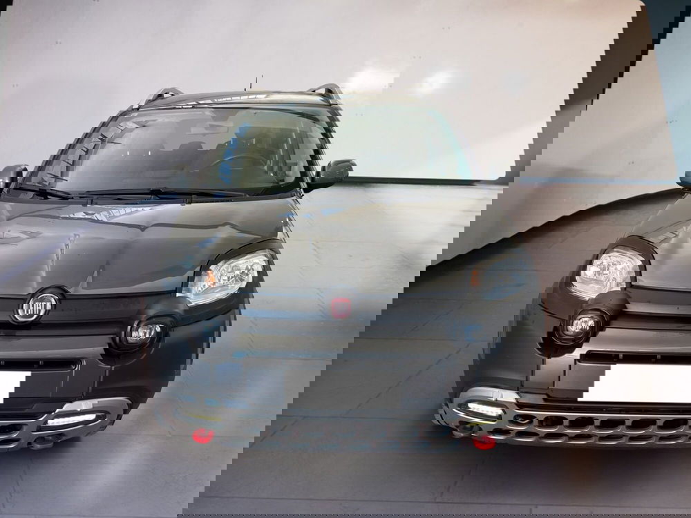 Fiat Panda Cross usata a Torino