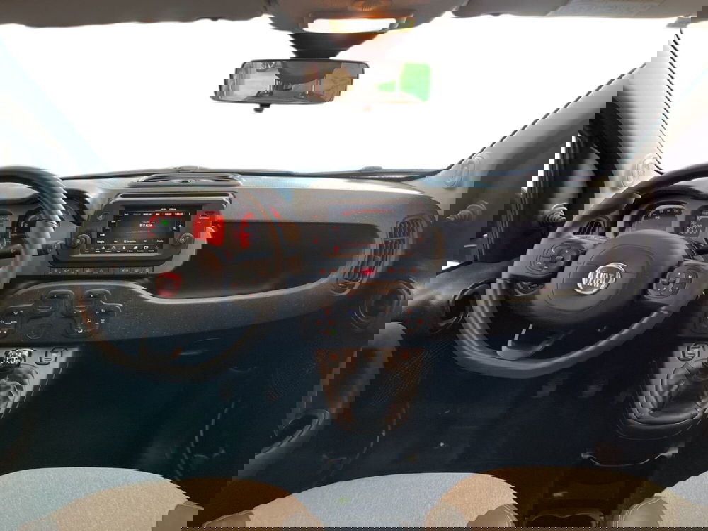 Fiat Panda Cross usata a Torino (11)