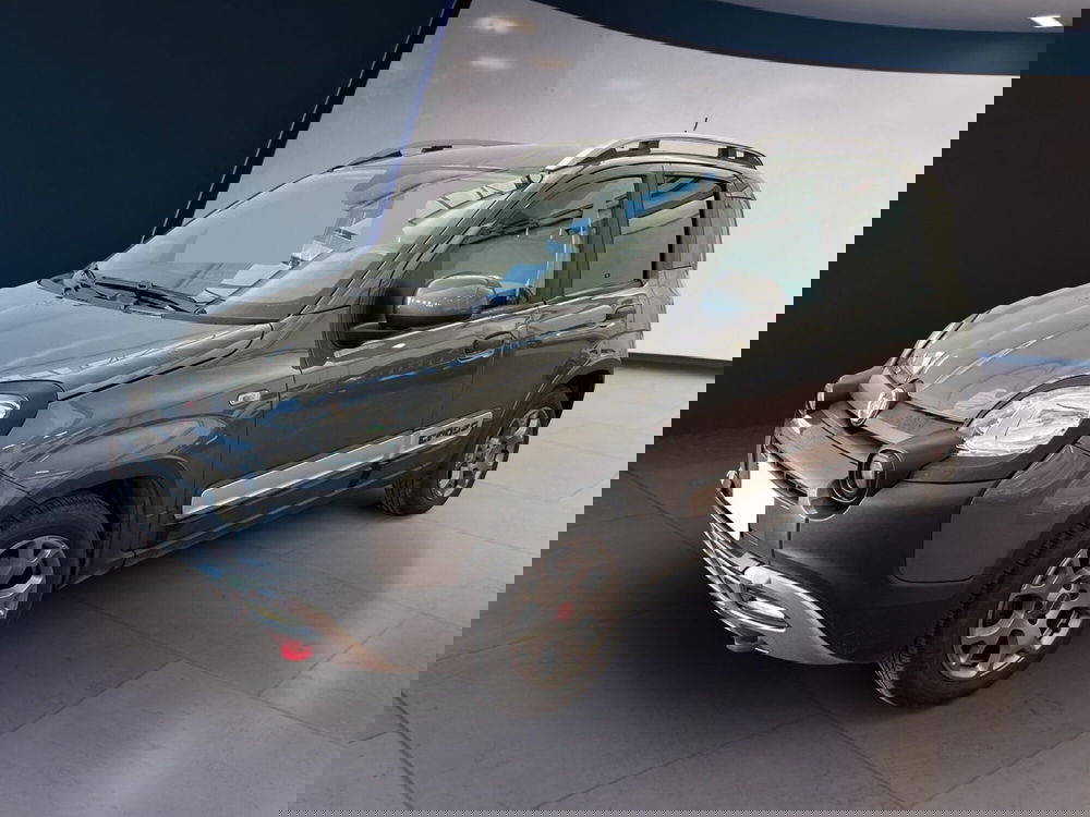 Fiat Panda Cross usata a Torino (2)