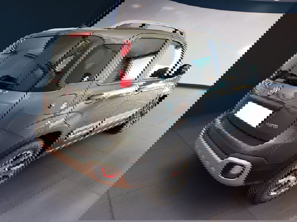 Fiat Panda Cross usata a Torino (4)