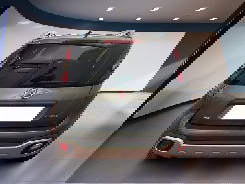 Fiat Panda Cross usata a Torino (5)