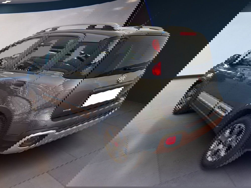 Fiat Panda Cross usata a Torino (6)