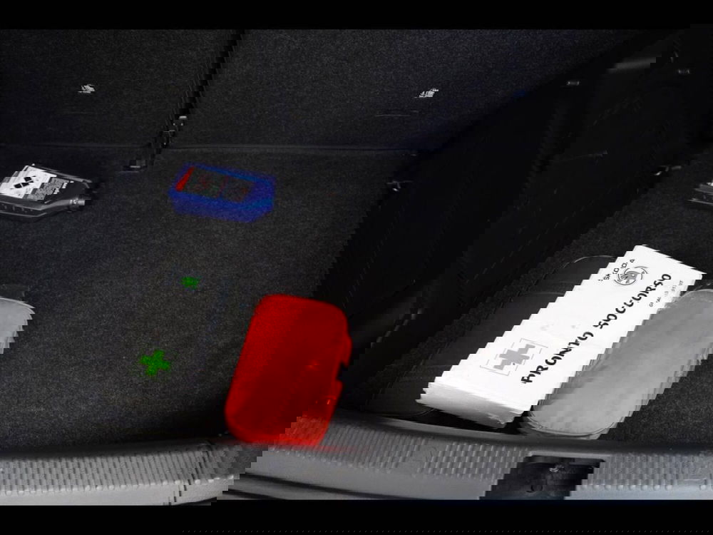 Skoda Fabia usata a Treviso (15)