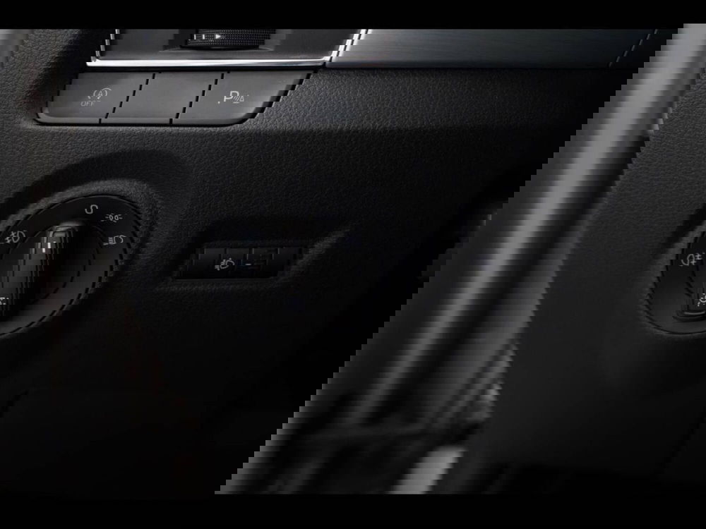 Skoda Fabia usata a Treviso (18)