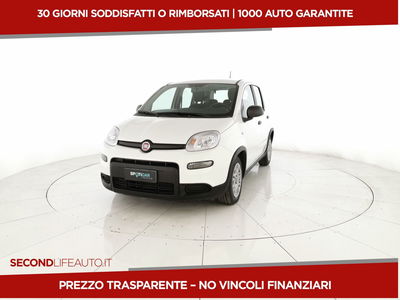 Fiat Panda 1.0 firefly hybrid s&amp;s 70cv 5p.ti del 2024 usata a San Giovanni Teatino