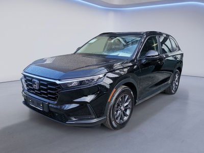 Honda CR-V 2.0 Hev eCVT Elegance Navi Leather nuova a Forli&#039;