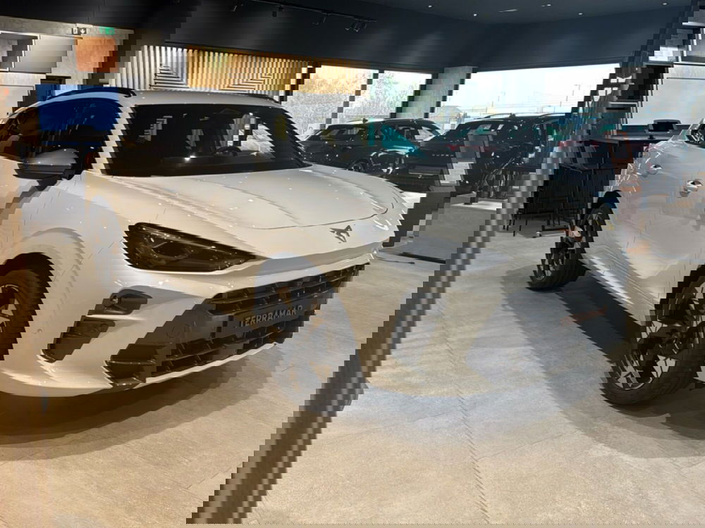 Cupra Terramar nuova a Aosta (7)