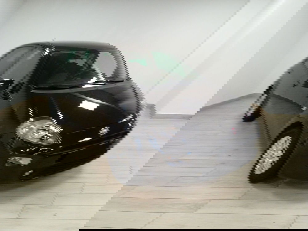 Fiat Punto usata a Torino