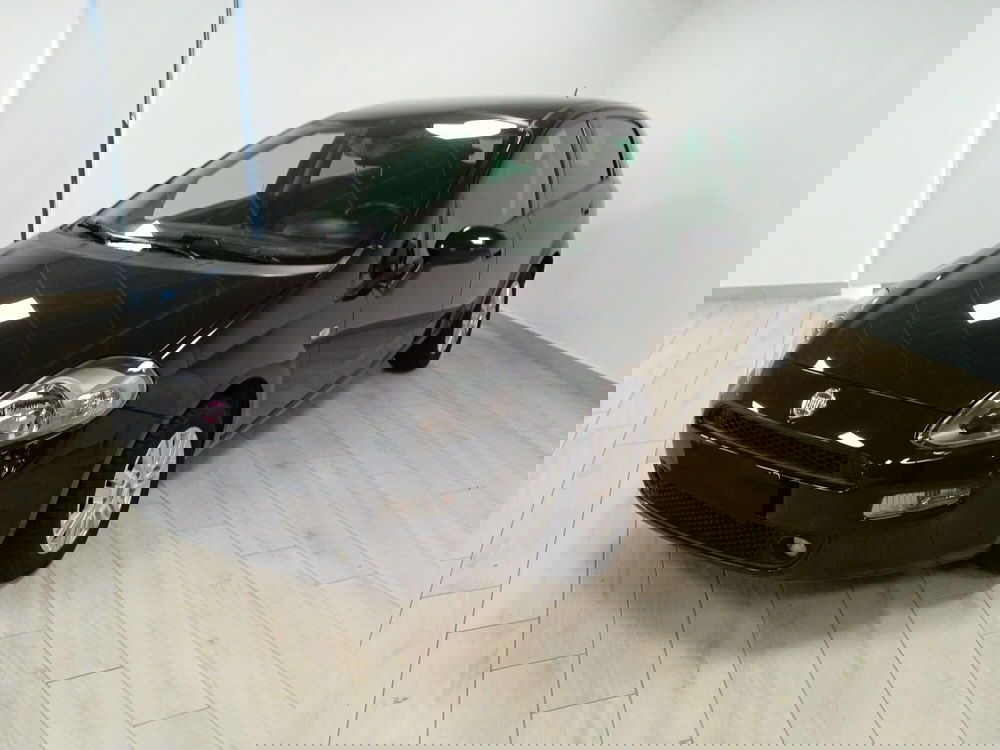 Fiat Punto usata a Torino (3)