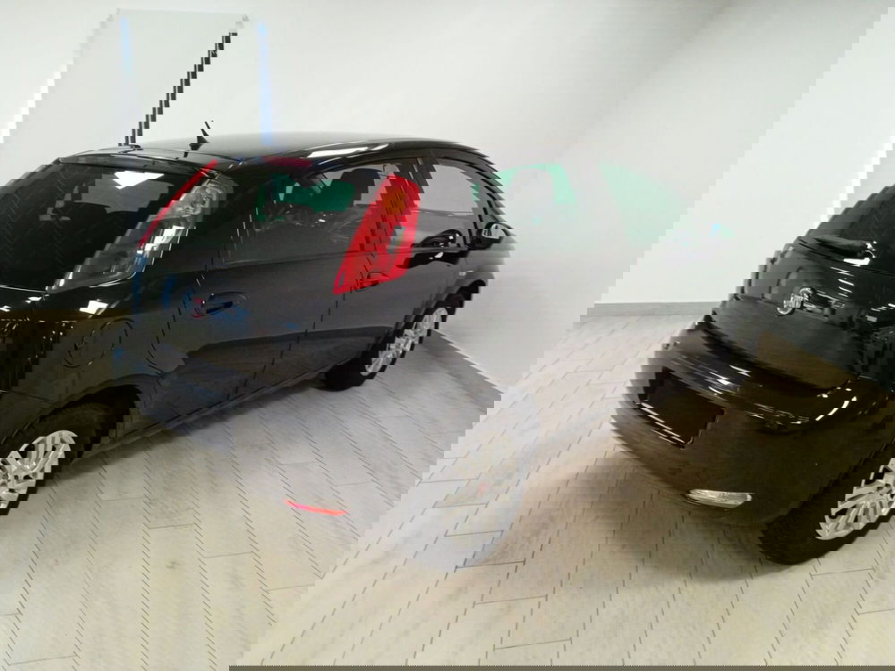 Fiat Punto usata a Torino (6)