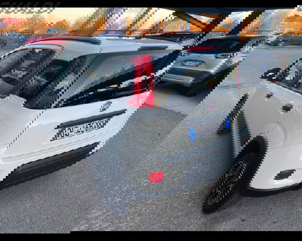 Fiat Panda usata a Modena (10)