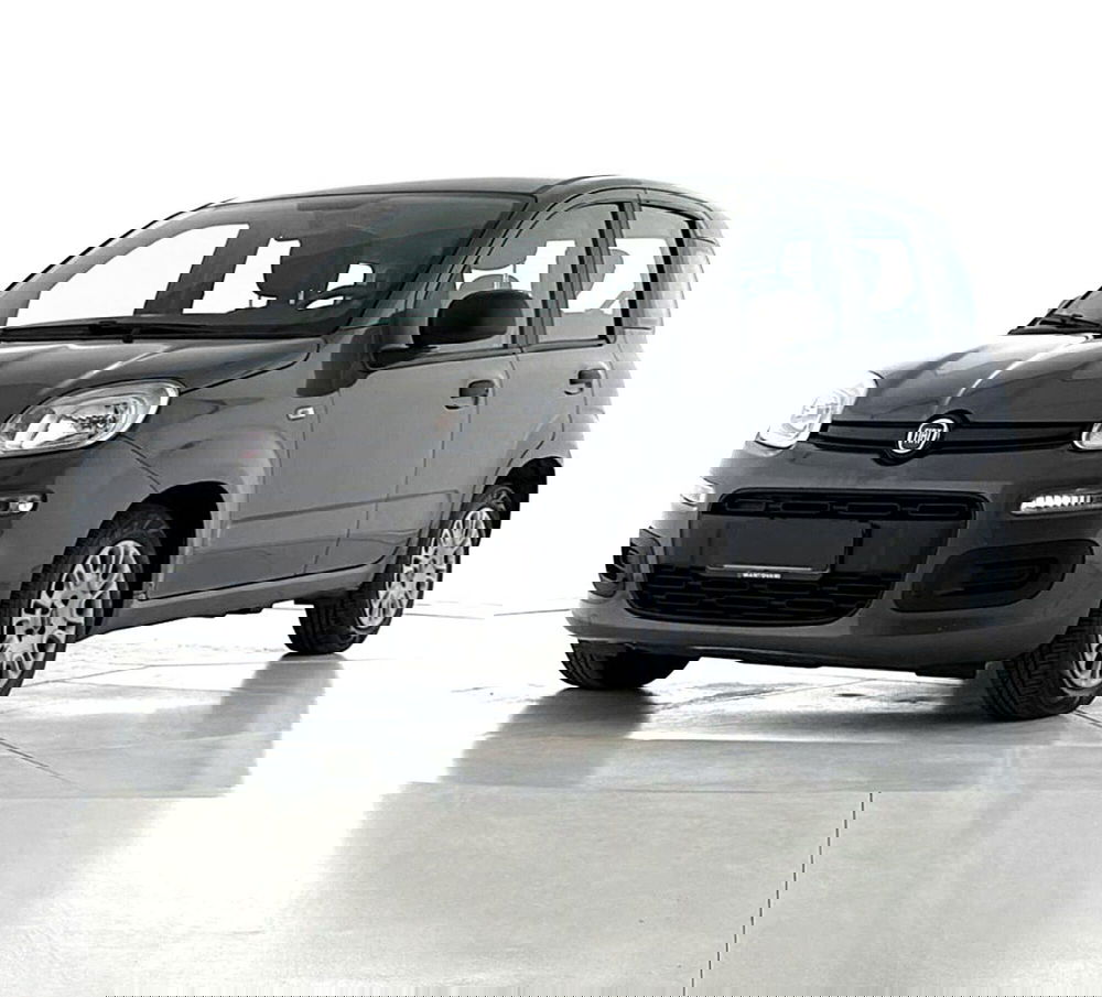 Fiat Panda Cross usata a Perugia