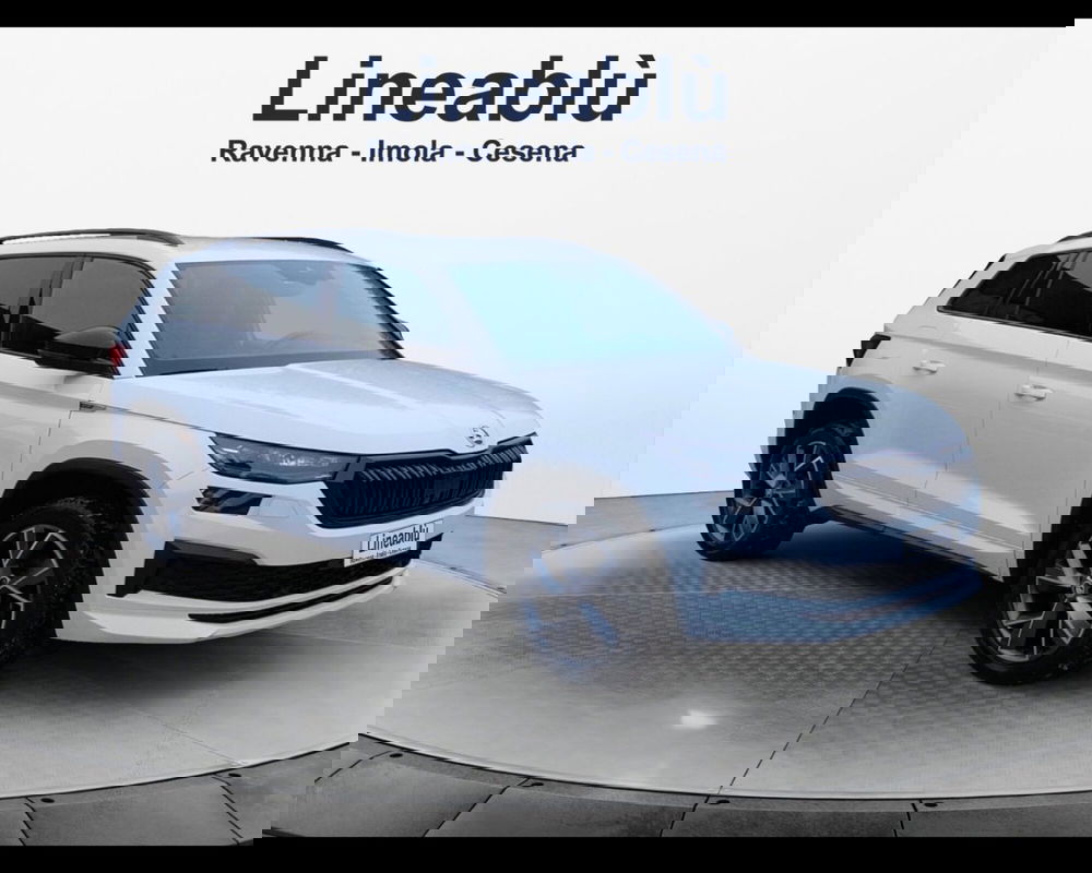 Skoda Kodiaq usata a Forlì-Cesena (7)