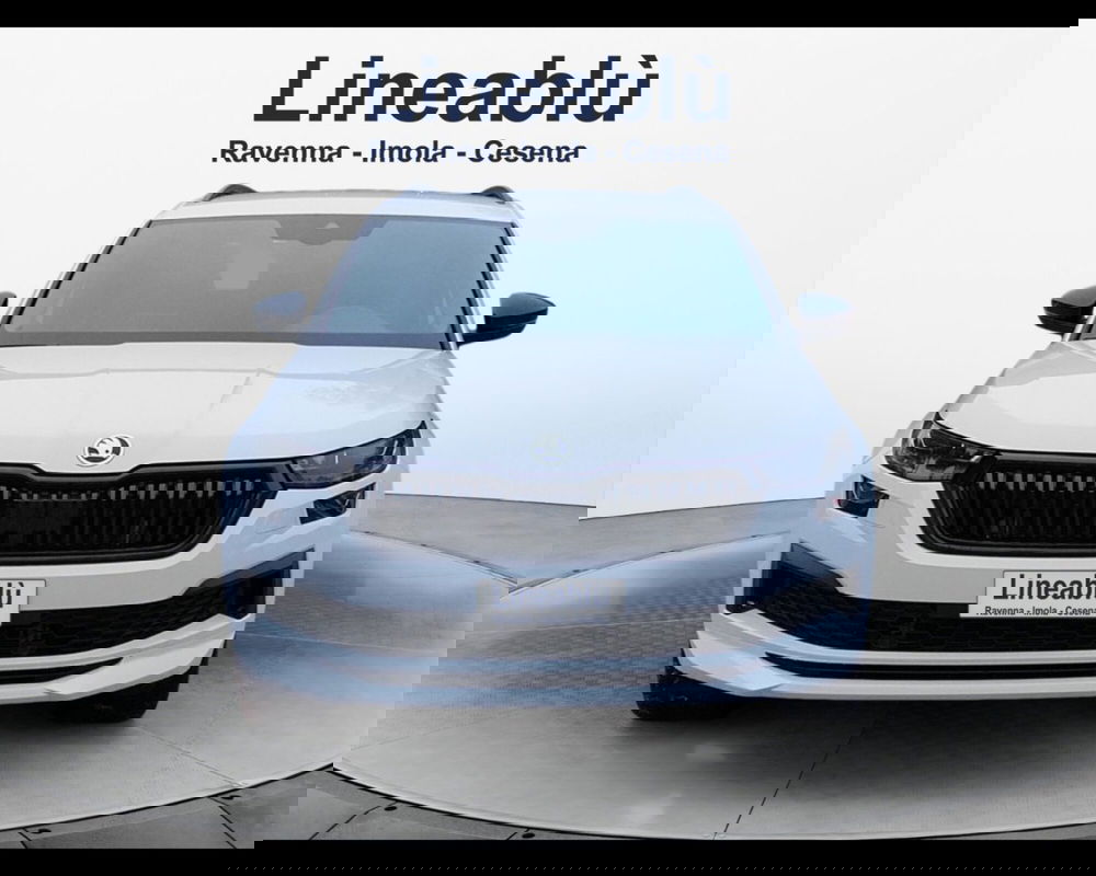 Skoda Kodiaq usata a Forlì-Cesena (8)