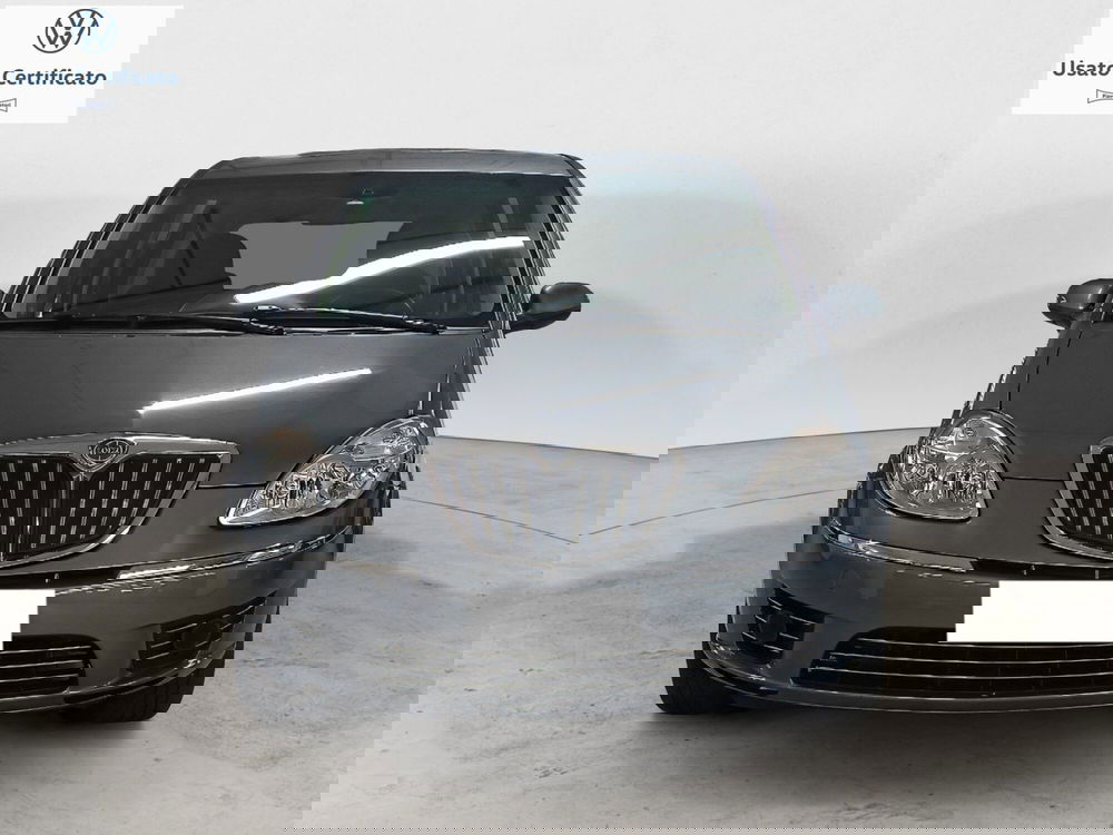 Lancia Musa usata a Genova (2)