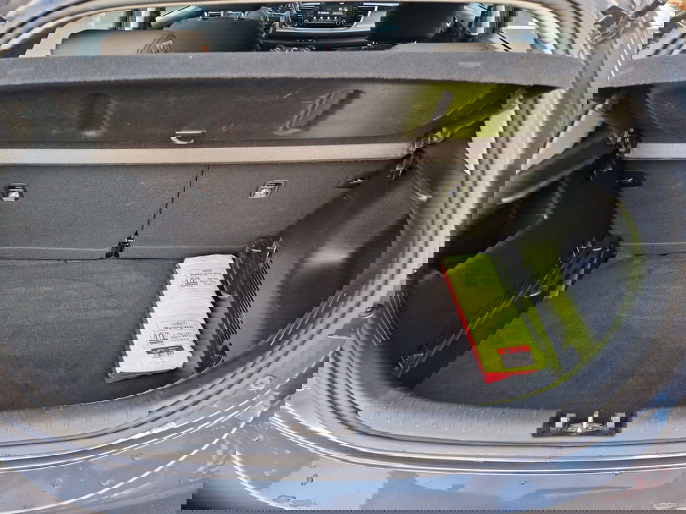 Kia Rio usata a Grosseto (10)