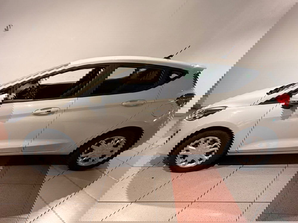Ford Fiesta usata a Genova (2)
