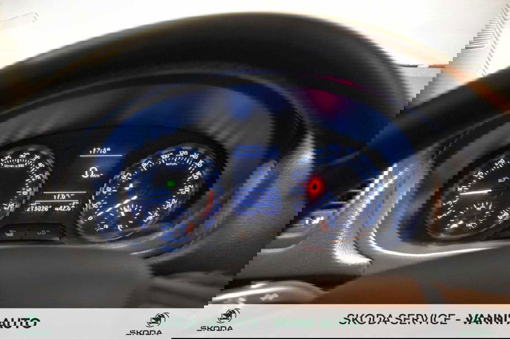 Skoda Roomster usata a Verona (14)