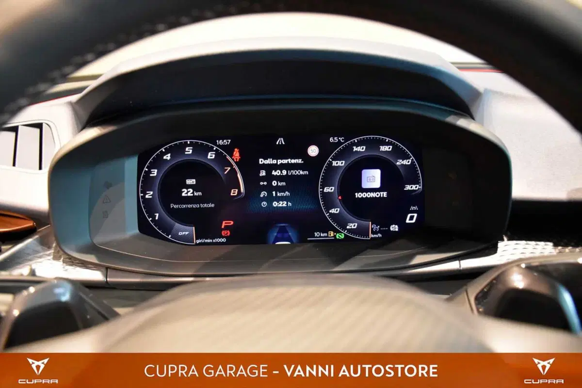 Cupra Terramar usata a Verona (11)