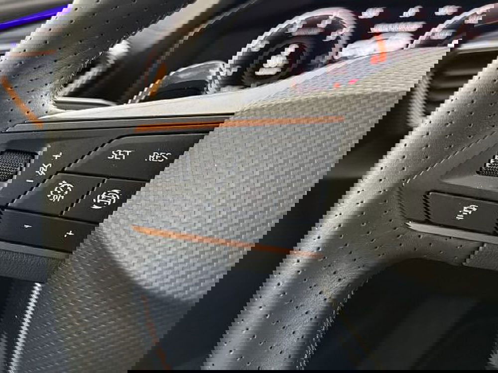 Cupra Formentor usata a Vicenza (18)