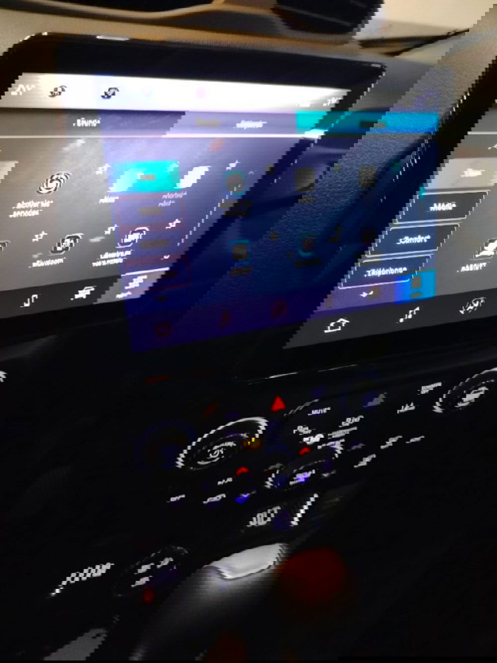 Jeep Renegade usata a Forlì-Cesena (19)