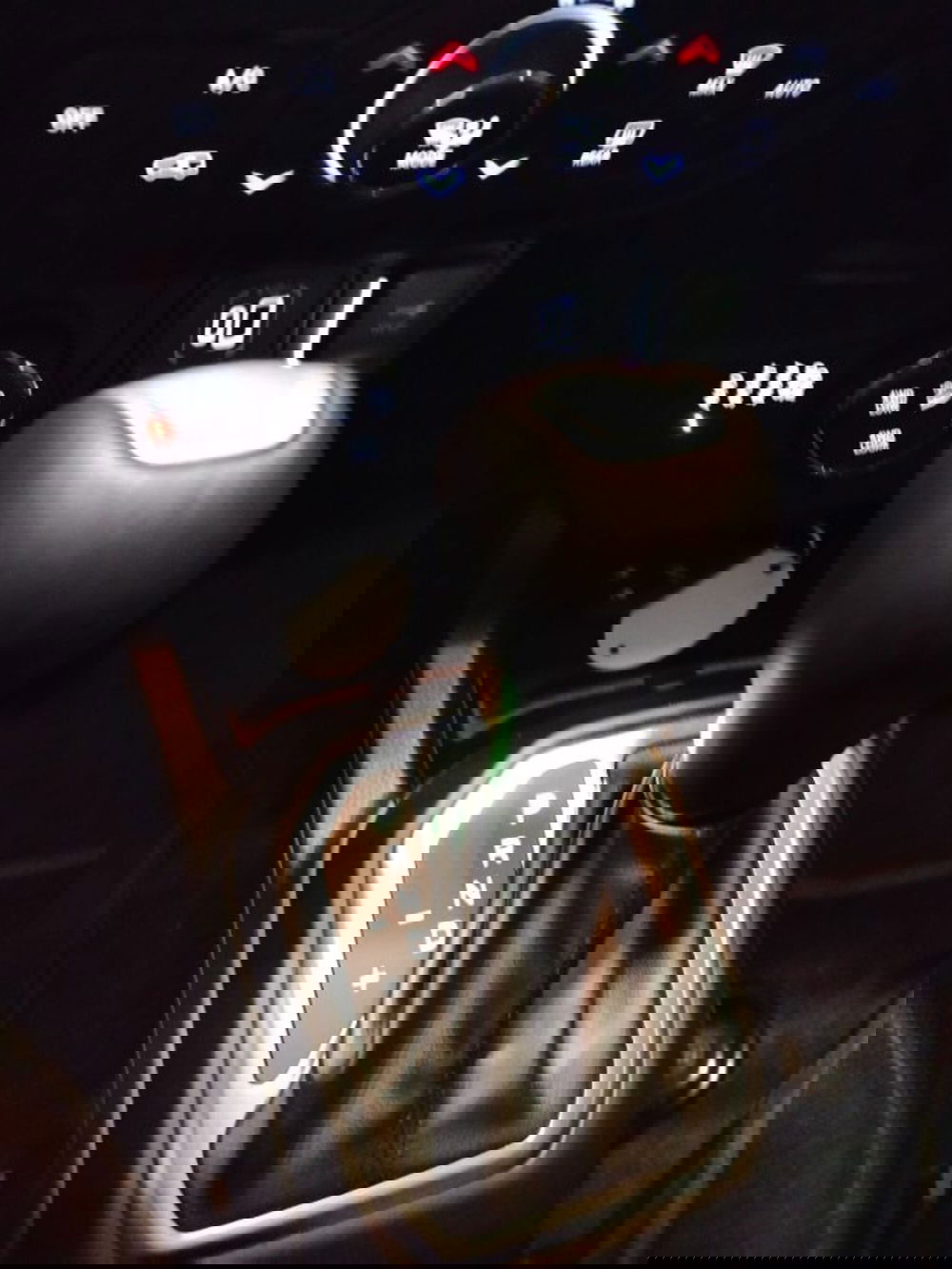 Jeep Renegade usata a Forlì-Cesena (20)