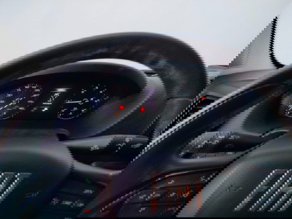 Fiat Ducato Furgone usata a Forlì-Cesena (19)