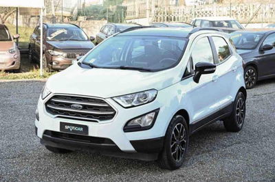 Ford EcoSport 1.0 EcoBoost 100 CV Plus del 2019 usata a Pianezza