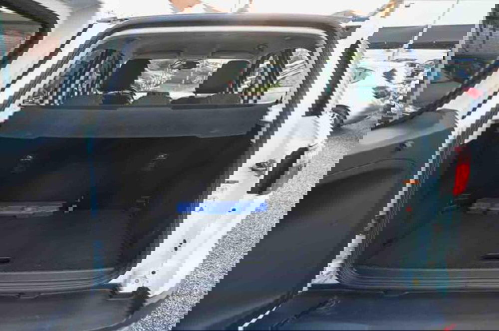 Ford EcoSport usata a Torino (9)