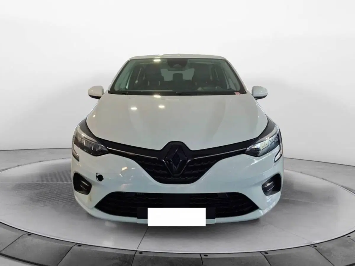 Renault Clio usata a Torino (2)