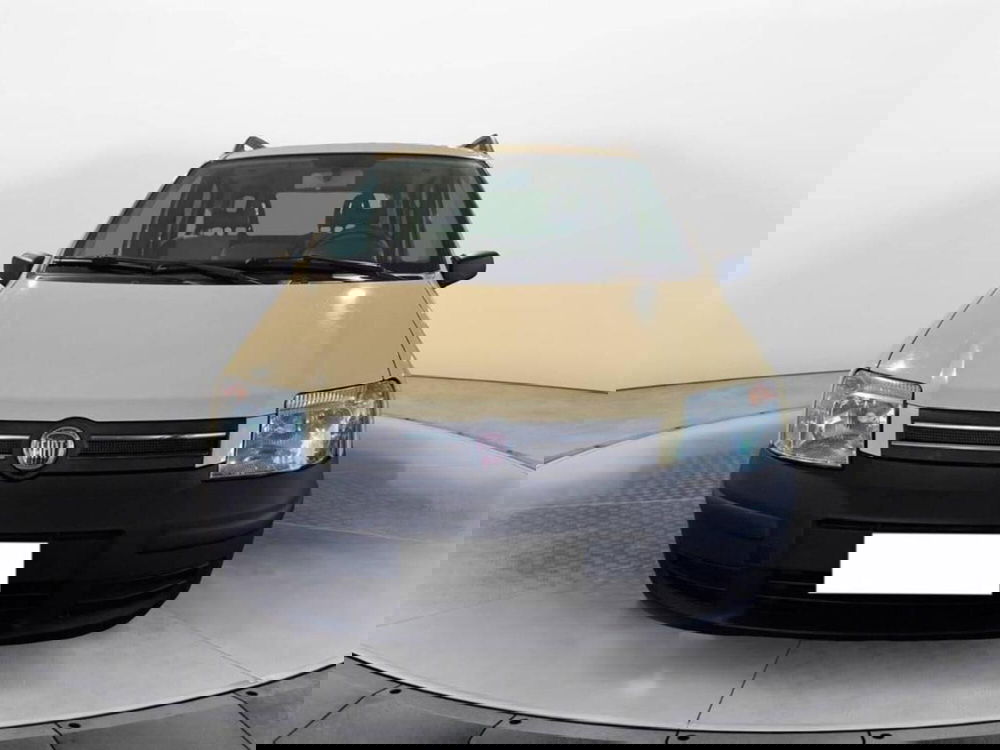Fiat Panda usata a Torino (2)