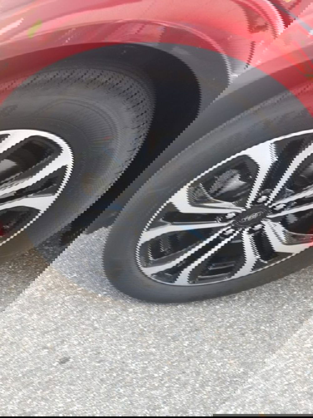 Ford Puma usata a Cuneo (12)