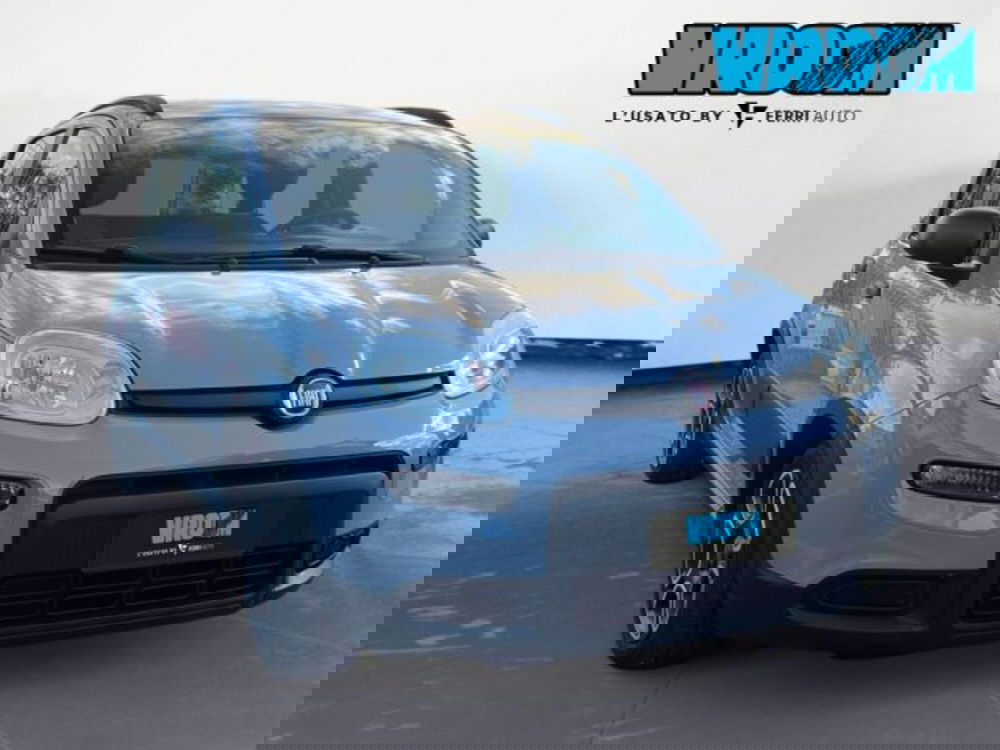 Fiat Panda usata a Treviso (2)