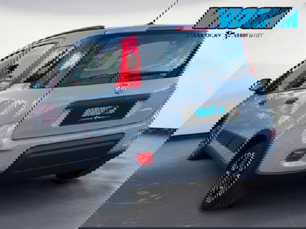 Fiat Panda usata a Treviso (5)